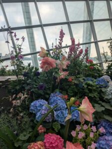 GardensByTheBay2025-159 image from Singapore's Gardens by the Bay - spring 2025