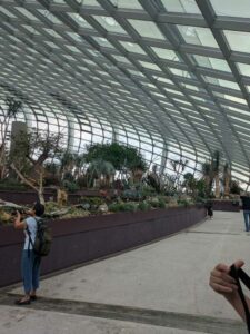 GardensByTheBay2025-16 image from Singapore's Gardens by the Bay - spring 2025