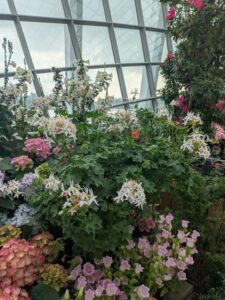 GardensByTheBay2025-160 image from Singapore's Gardens by the Bay - spring 2025