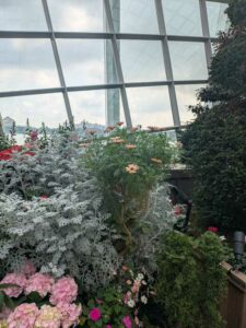 GardensByTheBay2025-161 image from Singapore's Gardens by the Bay - spring 2025