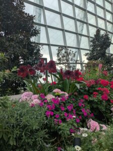 GardensByTheBay2025-163 image from Singapore's Gardens by the Bay - spring 2025