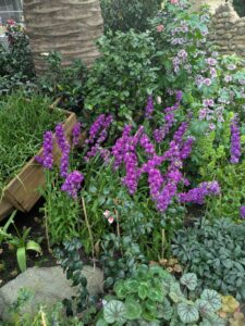 GardensByTheBay2025-164 image from Singapore's Gardens by the Bay - spring 2025