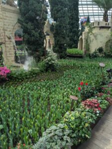 GardensByTheBay2025-166 image from Singapore's Gardens by the Bay - spring 2025