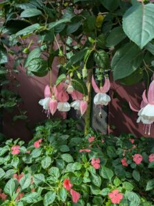 GardensByTheBay2025-169 image from Singapore's Gardens by the Bay - spring 2025