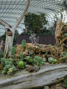 GardensByTheBay2025-18 image from Singapore's Gardens by the Bay - spring 2025