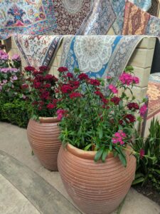 GardensByTheBay2025-182 image from Singapore's Gardens by the Bay - spring 2025