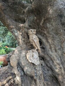 GardensByTheBay2025-183 image from Singapore's Gardens by the Bay - spring 2025