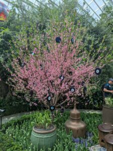 GardensByTheBay2025-184 image from Singapore's Gardens by the Bay - spring 2025