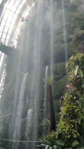 GardensByTheBay2025-186.TS image from Singapore's Gardens by the Bay - spring 2025