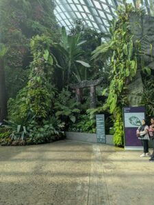 GardensByTheBay2025-187 image from Singapore's Gardens by the Bay - spring 2025