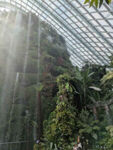 GardensByTheBay2025-188 image from Singapore's Gardens by the Bay - spring 2025