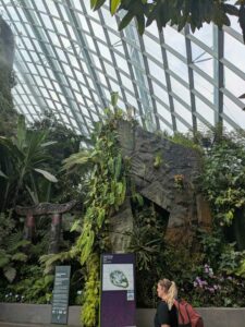 GardensByTheBay2025-189 image from Singapore's Gardens by the Bay - spring 2025