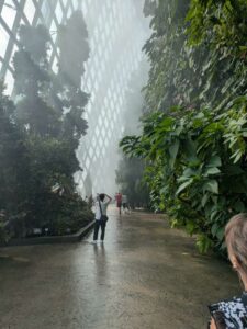 GardensByTheBay2025-190 image from Singapore's Gardens by the Bay - spring 2025