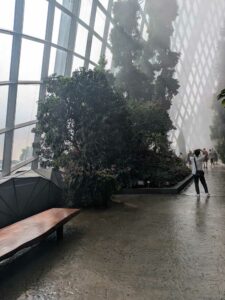 GardensByTheBay2025-191 image from Singapore's Gardens by the Bay - spring 2025