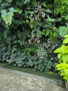 GardensByTheBay2025-194 image from Singapore's Gardens by the Bay - spring 2025