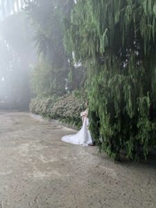 GardensByTheBay2025-197 image from Singapore's Gardens by the Bay - spring 2025