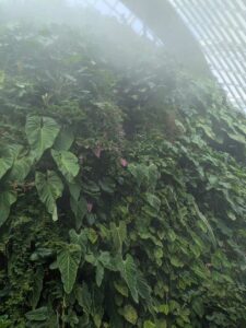 GardensByTheBay2025-199 image from Singapore's Gardens by the Bay - spring 2025