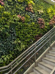 GardensByTheBay2025-2 image from Singapore's Gardens by the Bay - spring 2025