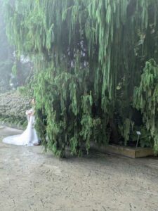 GardensByTheBay2025-200 image from Singapore's Gardens by the Bay - spring 2025