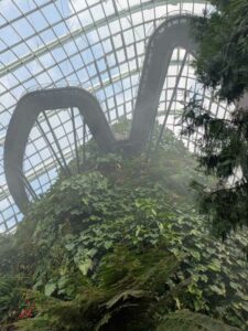 GardensByTheBay2025-204 image from Singapore's Gardens by the Bay - spring 2025