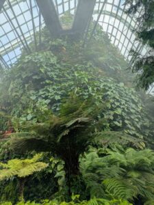 GardensByTheBay2025-205 image from Singapore's Gardens by the Bay - spring 2025