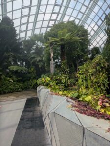 GardensByTheBay2025-207 image from Singapore's Gardens by the Bay - spring 2025