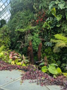 GardensByTheBay2025-208 image from Singapore's Gardens by the Bay - spring 2025