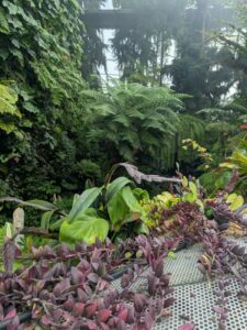 GardensByTheBay2025-209 image from Singapore's Gardens by the Bay - spring 2025