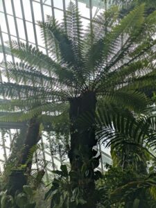 GardensByTheBay2025-215 image from Singapore's Gardens by the Bay - spring 2025