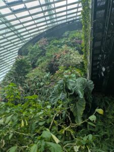 GardensByTheBay2025-217 image from Singapore's Gardens by the Bay - spring 2025