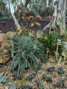 GardensByTheBay2025-22 image from Singapore's Gardens by the Bay - spring 2025