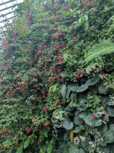 GardensByTheBay2025-221 image from Singapore's Gardens by the Bay - spring 2025