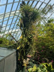 GardensByTheBay2025-222 image from Singapore's Gardens by the Bay - spring 2025