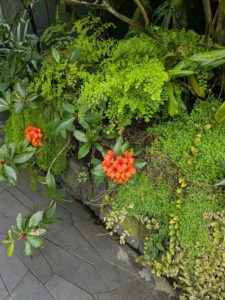 GardensByTheBay2025-225 image from Singapore's Gardens by the Bay - spring 2025