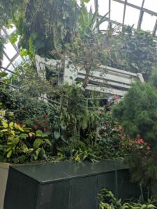 GardensByTheBay2025-228 image from Singapore's Gardens by the Bay - spring 2025