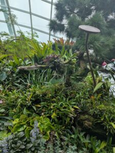 GardensByTheBay2025-231 image from Singapore's Gardens by the Bay - spring 2025