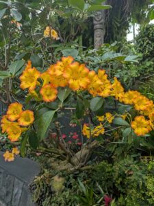 GardensByTheBay2025-232 image from Singapore's Gardens by the Bay - spring 2025