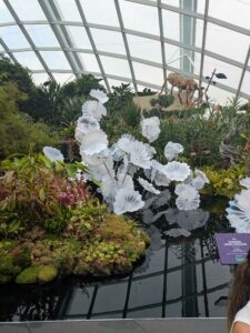 GardensByTheBay2025-233 image from Singapore's Gardens by the Bay - spring 2025