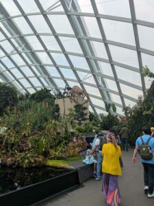 GardensByTheBay2025-234 image from Singapore's Gardens by the Bay - spring 2025