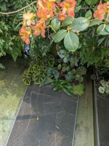 GardensByTheBay2025-236 image from Singapore's Gardens by the Bay - spring 2025