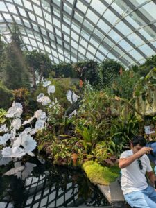 GardensByTheBay2025-238 image from Singapore's Gardens by the Bay - spring 2025