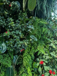 GardensByTheBay2025-240 image from Singapore's Gardens by the Bay - spring 2025