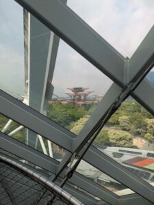 GardensByTheBay2025-242 image from Singapore's Gardens by the Bay - spring 2025