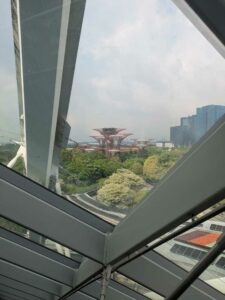 GardensByTheBay2025-243 image from Singapore's Gardens by the Bay - spring 2025