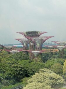 GardensByTheBay2025-244 image from Singapore's Gardens by the Bay - spring 2025