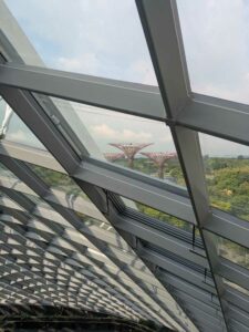 GardensByTheBay2025-245 image from Singapore's Gardens by the Bay - spring 2025