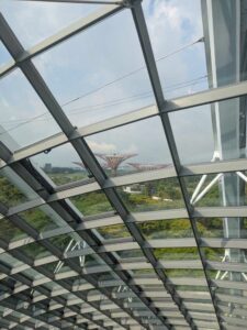 GardensByTheBay2025-246 image from Singapore's Gardens by the Bay - spring 2025