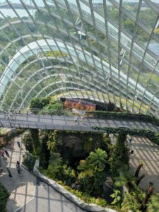 GardensByTheBay2025-249 image from Singapore's Gardens by the Bay - spring 2025