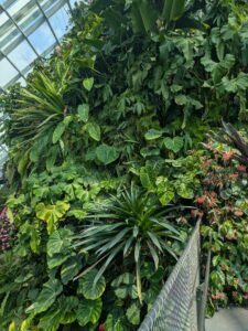 GardensByTheBay2025-251 image from Singapore's Gardens by the Bay - spring 2025