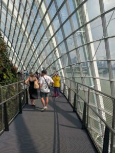 GardensByTheBay2025-254 image from Singapore's Gardens by the Bay - spring 2025